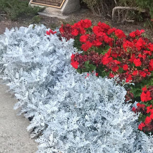 Meet your Posher, Christa